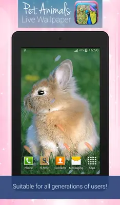 Pet Animals Live Wallpaper android App screenshot 0