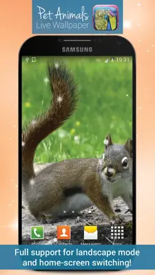 Pet Animals Live Wallpaper android App screenshot 2